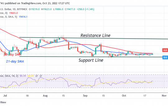 Bitcoin Price Prediction for Today, October 23: BTC Price Slumps to $19K