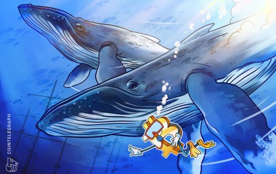 Bitcoin price bottom not in, data says as whale orders hit 2-year low