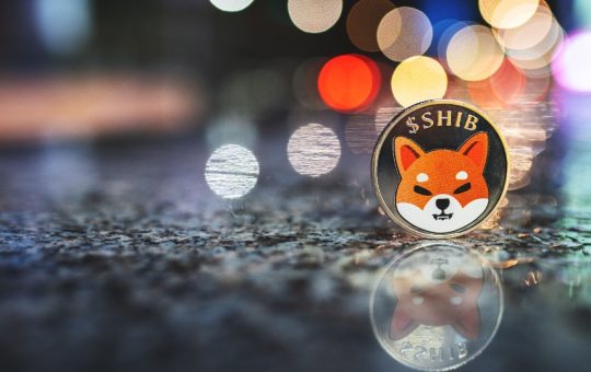 Should you buy Shiba Inu (SHIB/USD) as whale accumulation intensifies?