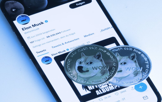 Dogecoin Fans Still Hopeful After Elon Musk's Twitter Payments Update