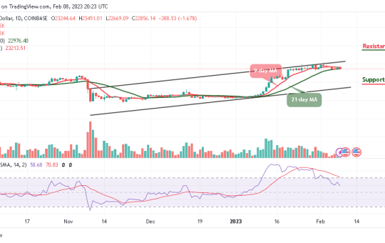 Bitcoin Price Prediction for Today, February 8: BTC/USD Could Form Decent Support at $22,500 Level