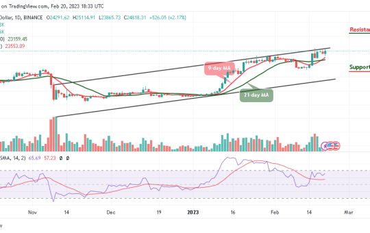 Bitcoin Price Prediction for Today, February 20: BTC/USD Gains 2.17% to Touch $25,114 Level