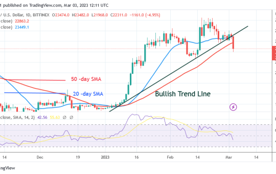 Bitcoin Price Prediction for Today, March 3: BTC Price Inevitably Drops to $22K