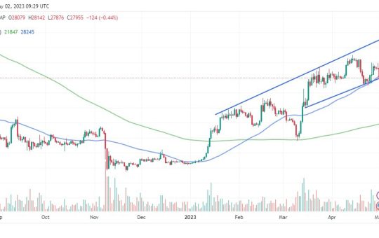 Why The Bitcoin Price Is Crashing to $25k, While Love Hate Inu Pumps To $10 Million