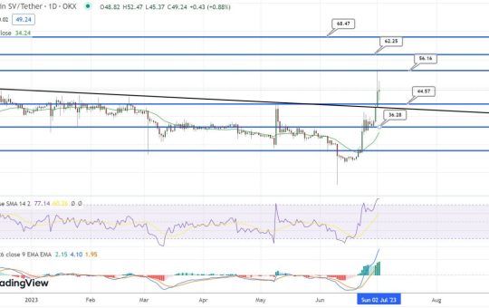 Bitcoin SV Price Prediction as $400 Million Trading Volume Pushes BSV Up 30% – Are Whales Buying?