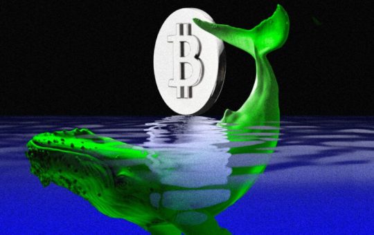 Bitcoin Whales: US Entities Top Accumulation With 71K BTC in 3 Weeks