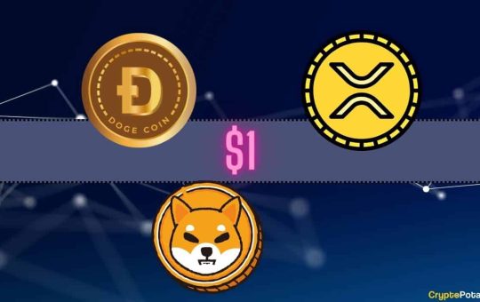 Ripple (XRP), Shiba Inu (SHIB), or Dogecoin (DOGE)?