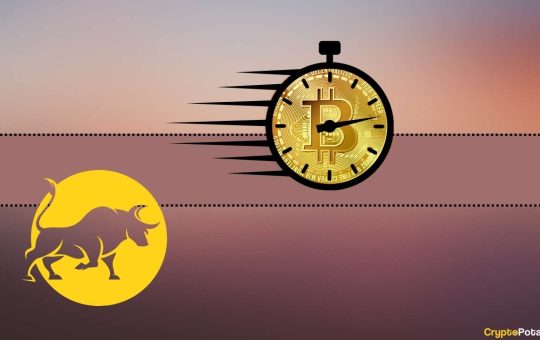 Is It Time to Buy BTC Before the Next Bitcoin Bull Run?