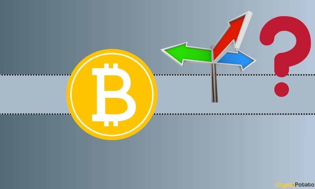 Is a Bitcoin (BTC) Crash Imminent? Two Factors to Keep in Mind (Analyst)