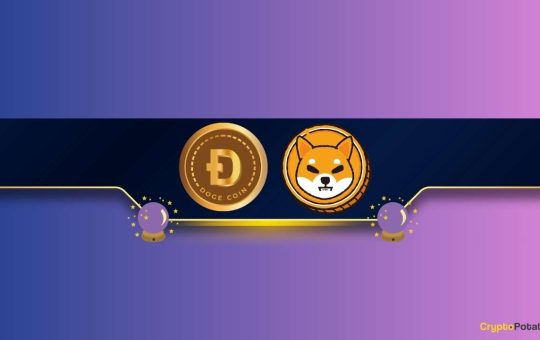 Will SHIB and DOGE Skyrocket After the Upcoming Bitcoin Halving?